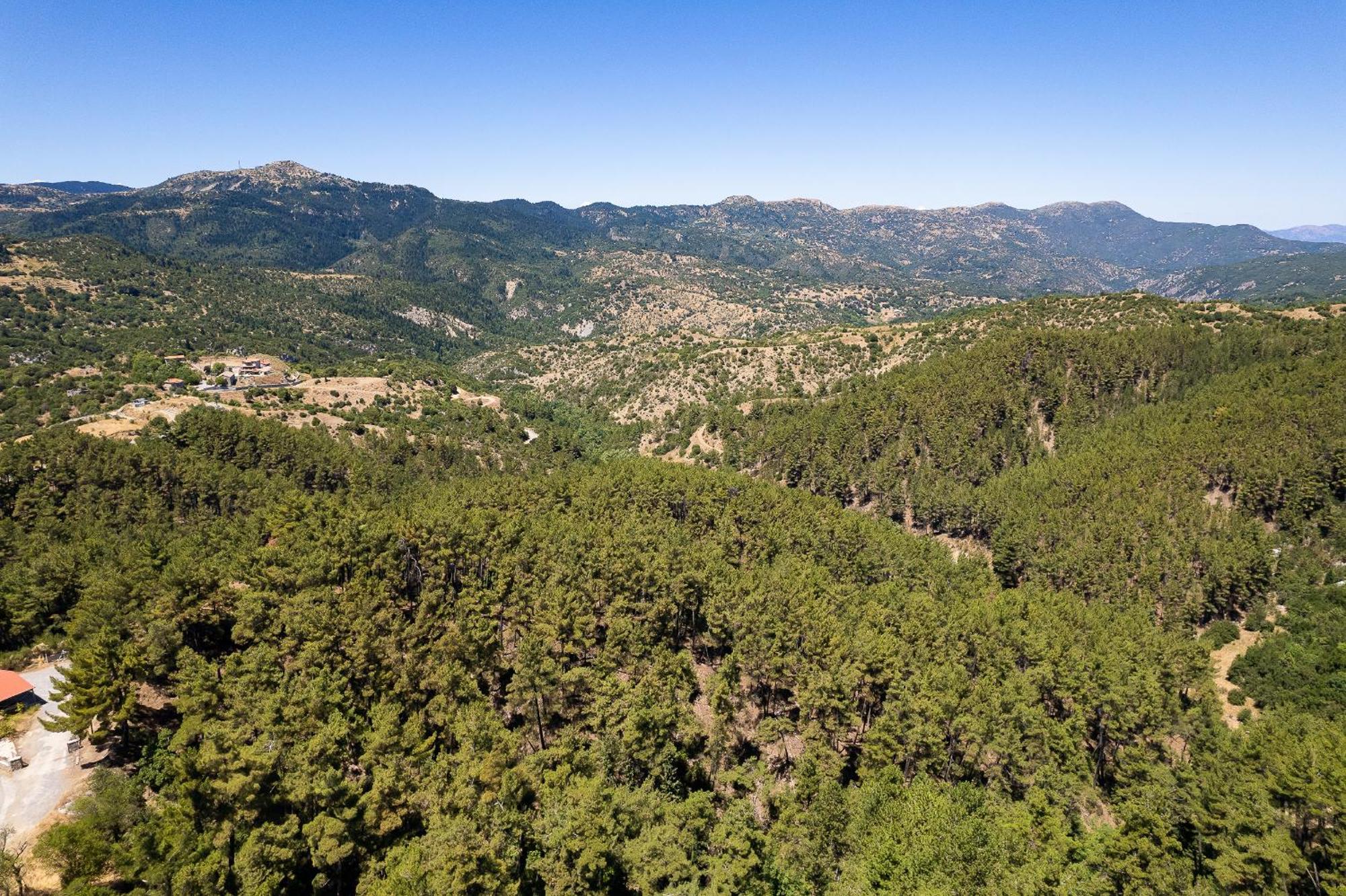 Natura Hotel Витина Экстерьер фото
