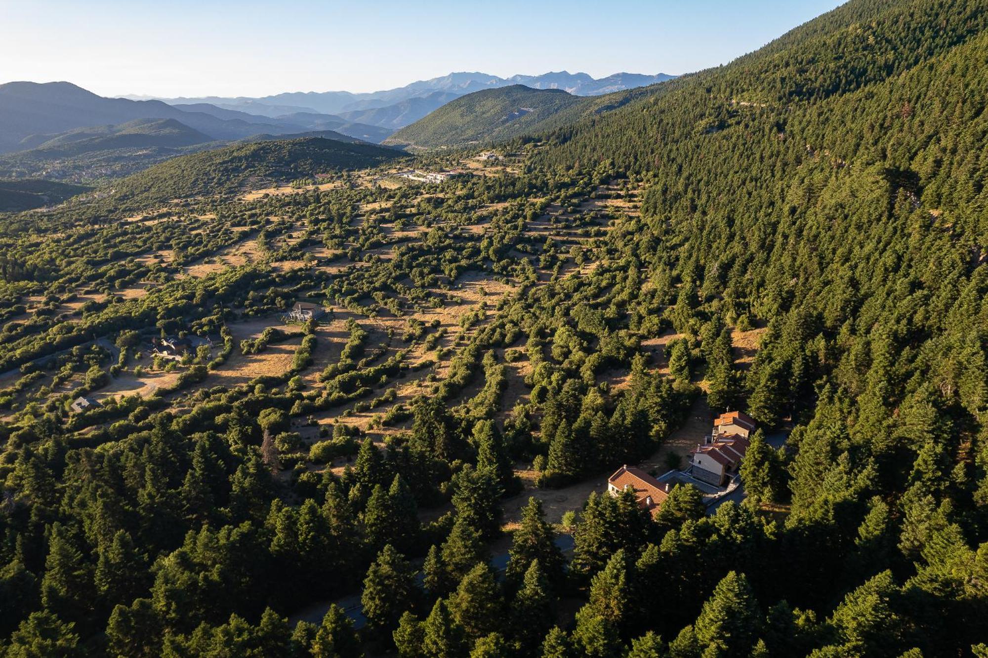 Natura Hotel Витина Экстерьер фото
