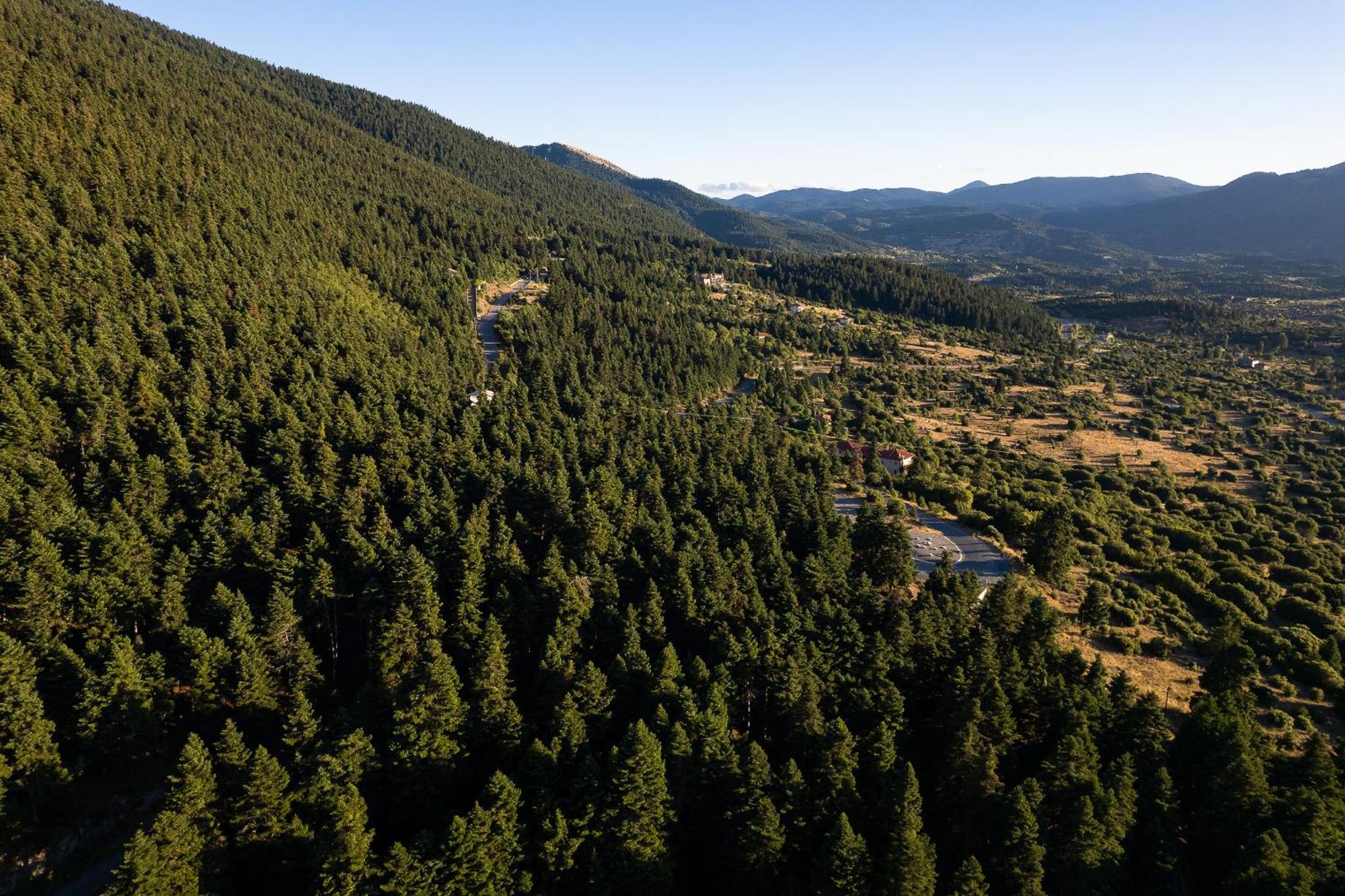Natura Hotel Витина Экстерьер фото